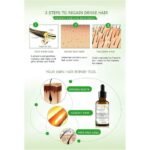 01 884379f3 0a25 4eda 9e4f dcaba4115fa3