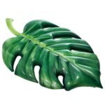 58782 e78e979d 405b 40b2 97db e5a13933ff52.jpg