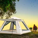 s l1600 10 scaled 1.webp