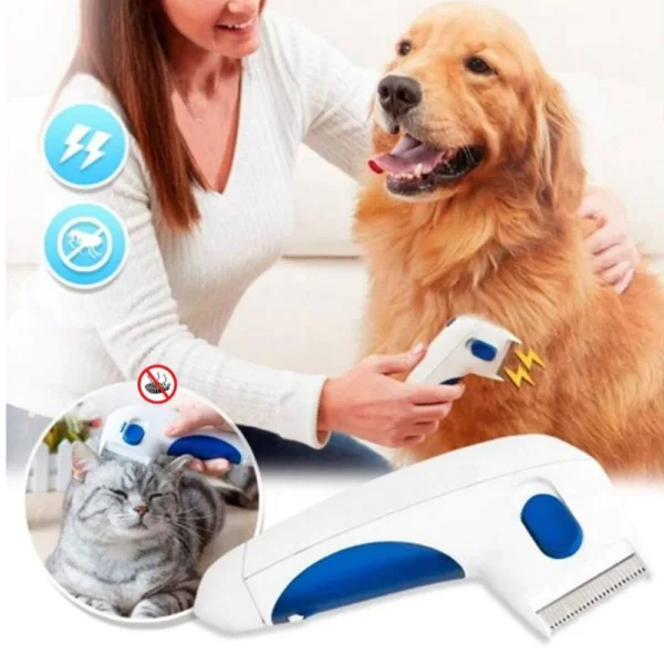 097298100017 1 de7aa0f5 9a06 4de8 bbc7 48af2b48e867.webp