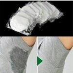 107829314 2317585868538110 8483030573145163981 n.jpg