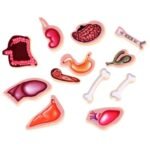 4 f998747c 6c42 4cac 87fc 1dd5d24d8096 1.jpg