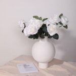 517vsw7fpEL. AC SL1024 1.jpg