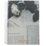 9786036584325 3 1 1.jpg