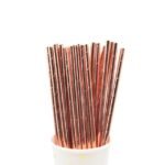 Rose Gold Paper Straws Birthday party Compostable Biodegradable Drinking Paper Straws Eco Friendly Recyclable for Cocktail.jpg 640x640 c6d74b9c 771e 4220 a0f3 070ed2e401df.jpg