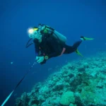 SS 19 5 054c5ef9 915e 42ac a7b5 bed82efb4117.webp