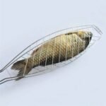 templateactive6 86de0375 2c21 466a 9d6f b1b9d3451e1d.jpg